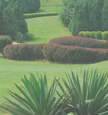 哪个好ddos在线压力测试平台