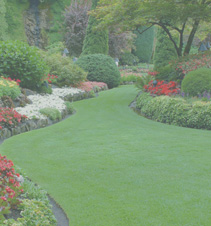 ddos在线攻击工具